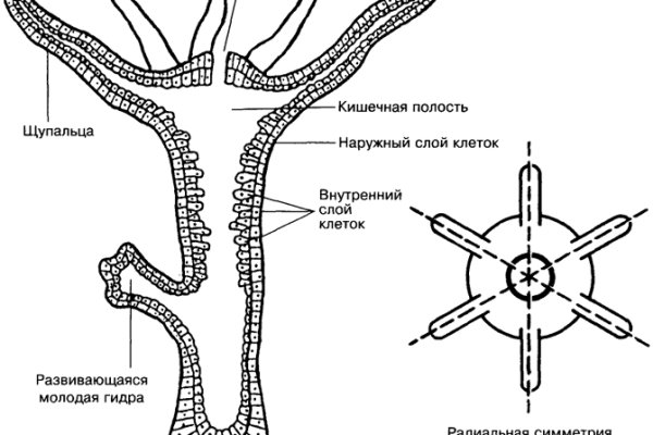 Что такое даркнет кракен