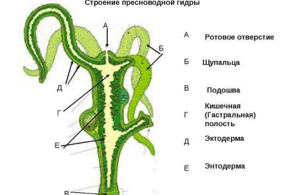 Кракен 15at