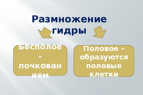 Кракен kr2web in магазин