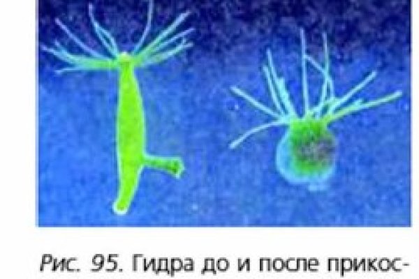 Какая комиссия кракен маркетплейс